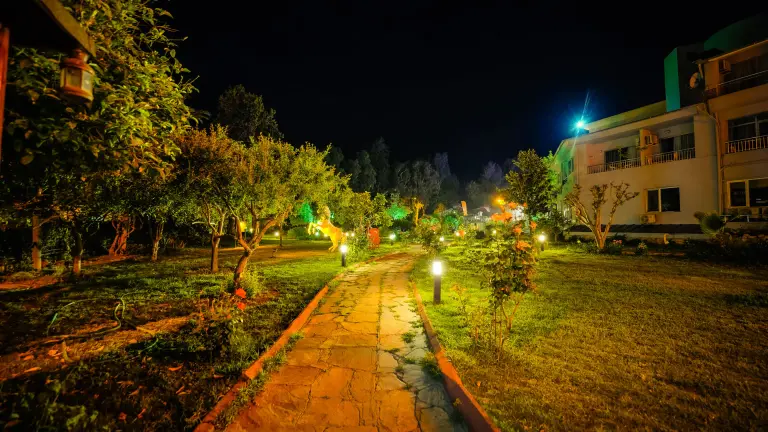 Genel
